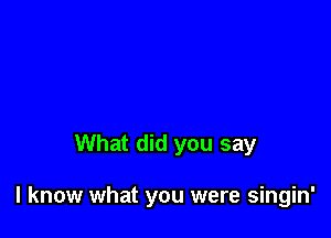 What did you say

I know what you were singin'