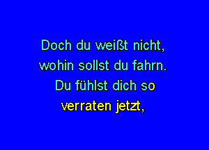 Doch du weirSt nicht,
wohin sollst du fahrn.

Du fUhIst dich so
verraten jetzt,