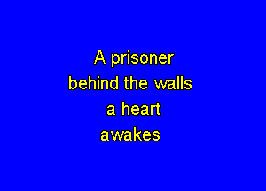 A prisoner
behind the walls

a heart
awakes