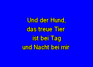 Und der Hund,
das treue Tier

ist bei Tag
und Nacht bei mir