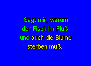 Sagt mir, warum
der Fisch im FIuB

und auch die Blume
sterben mufS.