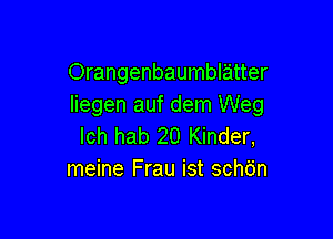 Orangenbaumblatter
Iiegen auf dem Weg

lch hab 20 Kinder,
meine Frau ist schdn