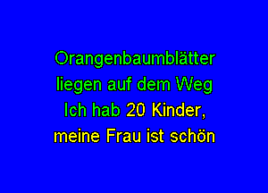 Orangenbaumblatter
Iiegen auf dem Weg

lch hab 20 Kinder,
meine Frau ist schdn