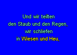 Und wir teilten
den Staub und den Regen,

wir schliefen
in Wiesen und Heu,