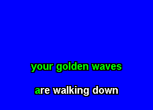 your golden waves

are walking down
