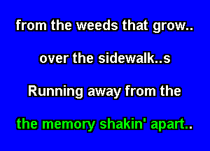 from the weeds that grow..
over the sidewalk..s
Running away from the

the memory shakin' apart.