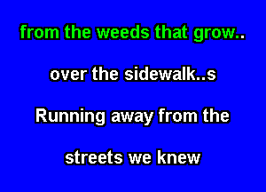 from the weeds that grow..

over the sidewalk..s

Running away from the

streets we knew