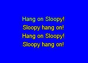 Hang on Sloopy!
Sloopy hang on!

Hang on Sloopy!
Sloopy hang on!