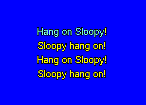 Hang on Sloopy!
Sloopy hang on!

Hang on Sloopy!
Sloopy hang on!