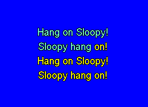 Hang on Sloopy!
Sloopy hang on!

Hang on Sloopy!
Sloopy hang on!