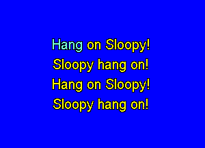 Hang on Sloopy!
Sloopy hang on!

Hang on Sloopy!
Sloopy hang on!