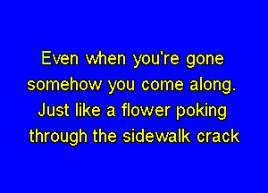 Even when you're gone
somehow you come along.

Just like a flower poking
through the sidewalk crack