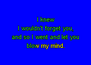 I knew
I wouldn't forget you,

and so I went and let you
blow my mind.