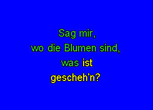 Saglnk,
we die Blumen sind,

was ist
gescheh'n?