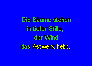 Die Baume stehen
in tiefer Stille,

der Wind
das Astwerk hebt,