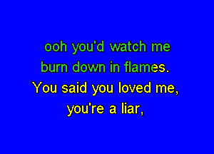 ooh you'd watch me
burn down in flames.

You said you loved me,
you're a liar,