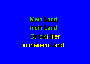 Mein Land,
mein Land.

Du bist hier
in meinem Land.