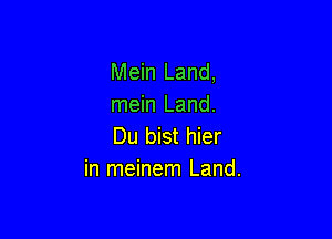 Mein Land,
mein Land.

Du bist hier
in meinem Land.