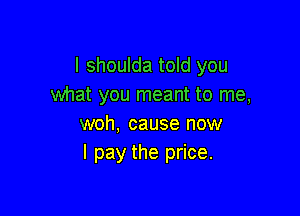 I shoulda told you
what you meant to me,

woh, cause now
I pay the price.