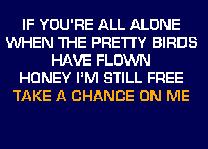 IF YOU'RE ALL ALONE
WHEN THE PRETTY BIRDS
HAVE FLOWN
HONEY I'M STILL FREE
TAKE A CHANCE ON ME