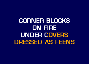 CORNER BLOCKS
ON FIRE
UNDER COVERS
DRESSED AS FEENS

g