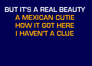 BUT ITS A REAL BEAUTY
A MEXICAN CUTIE
HOW IT GOT HERE
I HAVEN'T A CLUE