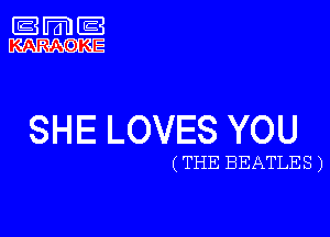 SHE LOVES YOU

( THE BEATLES )