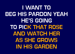 I WANT TO
BEG HIS PARDON YEAH
HE'S GOING
TO PICK THAT ROSE
AND WATCH HER
AS SHE GROWS
IN HIS GARDEN