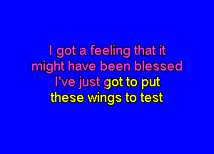 I got a feeling that it
might have been blessed

I've just got to put
these wings to test