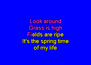 Look around
Grass is high

Fields are ripe
It's the spring time
of my life