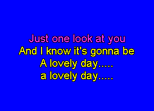 Just one look at you
And I know it's gonna be

A lovely day .....
a lovely day .....