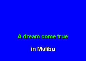 A dream come true

in Malibu