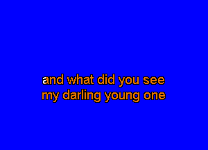 and what did you see
my darling young one