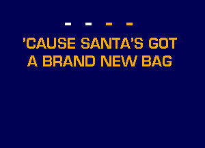 'CAUSE SANTA'S GOT
A BRAND NEW BAG