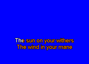 In pastures of green
The sun on your withers
The wind in your mane