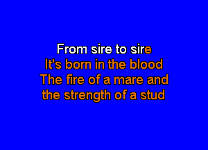 From sire to sire
It's born in the blood

The fire of a mare and
the strength of a stud