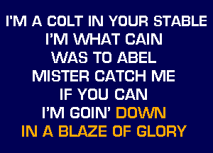 I'M A COLT IN YOUR STABLE
I'M MIHAT CAIN
WAS T0 ABEL
MISTER CATCH ME
IF YOU CAN
I'M GOIN' DOWN
IN A BLAZE 0F GLORY