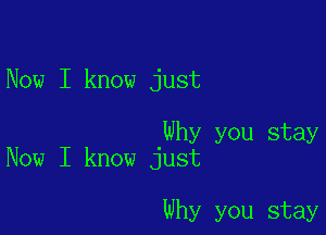 Now I know just

Why you stay
Now I know just

Why you stay