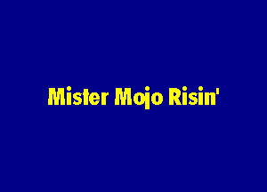 Mister Moio Risin'
