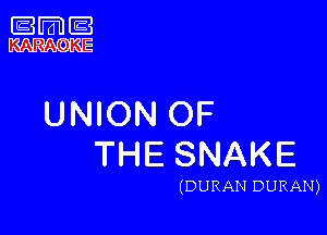 m

ARAQKE

UNKNQOF

THESNAKE

(DURAN DURAN)