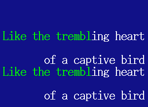 Like the trembling heart

of a captive bird
Like the trembling heart

of a captive bird