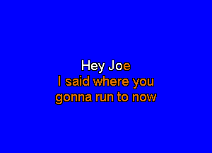 Hey Joe

I said where you
gonna run to now