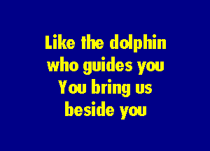 like the dolphin
who guides you

You bring us
beside you
