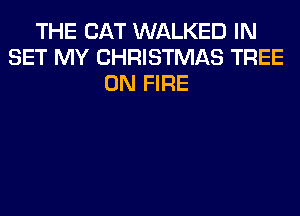 THE CAT WALKED IN
SET MY CHRISTMAS TREE
ON FIRE
