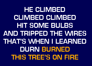 HE CLIMBED
CLIMBED CLIMBED
HIT SOME BULBS
AND TRIPPED THE WIRES
THAT'S WHEN I LEARNED
DURN BURNED
THIS TREE'S ON FIRE