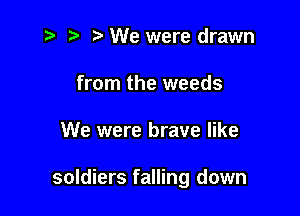 i? r) .5. We were drawn
from the weeds

We were brave like

soldiers falling down