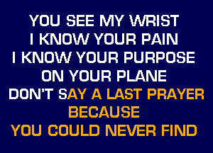 YOU SEE MY WRIST
I KNOW YOUR PAIN
I KNOW YOUR PURPOSE

ON YOUR PLANE
DON'T SAY A LAST PRAYER

BECAUSE
YOU COULD NEVER FIND