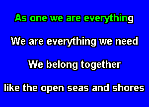 As one we are everything
We are everything we need
We belong together

like the open seas and shores