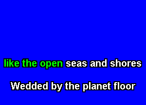 like the open seas and shores

Wedded by the planet floor