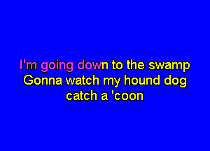 I'm going down to the swamp

Gonna watch my hound dog
catch a 'coon